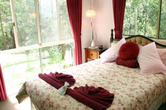 Hillside Country Retreat Bed and Breakfast Χρυσή Ακτή Δωμάτιο φωτογραφία