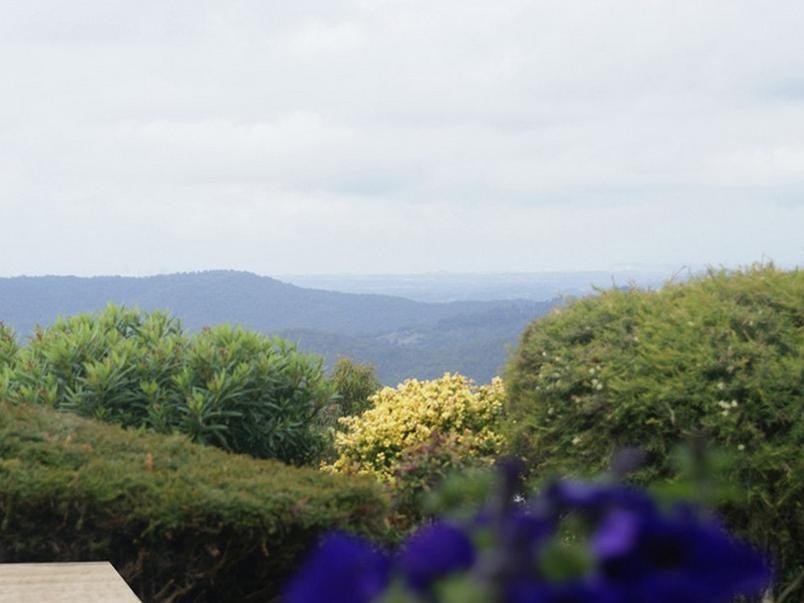 Hillside Country Retreat Bed and Breakfast Χρυσή Ακτή Εξωτερικό φωτογραφία