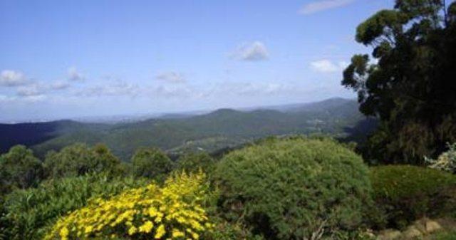 Hillside Country Retreat Bed and Breakfast Χρυσή Ακτή Εξωτερικό φωτογραφία